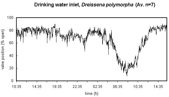 drinking water inlet, average